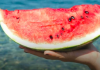 Šta se događa sa nivoom šećera u krvi nakon što pojedete lubenicu