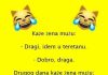 VIC DANA: Preljuba