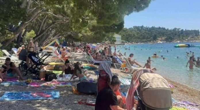 Strašno – Turisti u panici: Šta je ovo isplivalo iz mora? (FOTO) Strašno – Turisti u panici: Šta je ovo isplivalo iz mora? (FOTO) - featured image