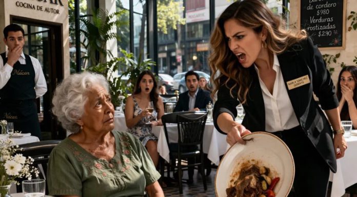 Potreban nam je ovaj sto. Ne uklapa se u sliku našeg restorana — rekla je direktorica i, ne čekajući ni trenutak, istrgnula tanjir iz ruku starije gospođe i bacila ga u kantu za smeće. 😱😱😱