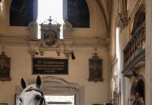 Tokom venčanja, nevestin konj iznenada je uleteo u crkvu i stao pravo ispred mlade žene, odbijajući da joj dozvoli da priđe oltaru. Životinja se ponašala toliko divlje da su gosti zahtevali da je odmah izvedu napolje, ne sluteći na kakvu opasnost konj zapravo pokušava da ih upozori 😨