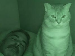 Nisam razumela zašto nas mačka svake noći posmatra mene i mog muža dok spavamo.