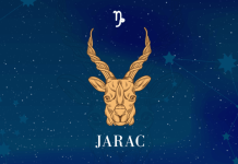 AKO SI JARAC PROČITAJ OVO ODMAH: Ulaziš u ZLATNI PERIOD, sledi ti VELIKI USPEH, stiže ti jedna VEST koja će te JAKO USREĆITI!