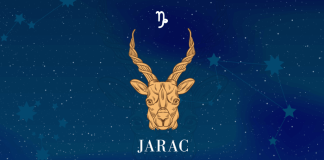 AKO SI JARAC PROČITAJ OVO ODMAH: Ulaziš u ZLATNI PERIOD, sledi ti VELIKI USPEH, stiže ti jedna VEST koja će te JAKO USREĆITI!
