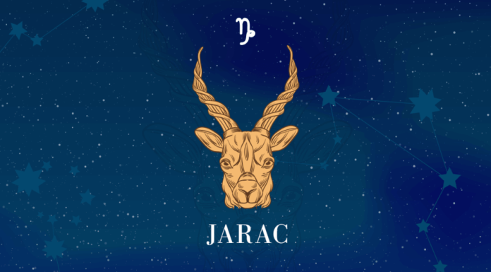 AKO SI JARAC PROČITAJ OVO ODMAH: Ulaziš u ZLATNI PERIOD, sledi ti VELIKI USPEH, stiže ti jedna VEST koja će te JAKO USREĆITI!