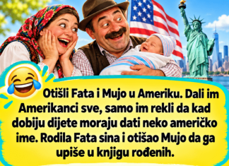 VIC DANA: Fata i Mujo u Americi
