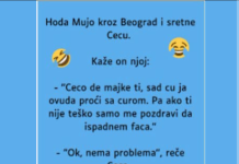 VIC: Mujo sretne Cecu