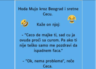VIC: Mujo sretne Cecu
