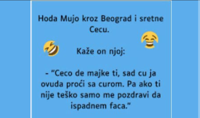 VIC: Mujo sretne Cecu