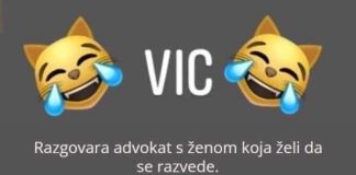 VIC DANA: Razvod