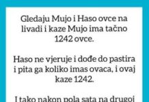 VIC OD KOJEG ĆETE PLAKATI OD SMIJEHA: Gledaju Mujo i Haso ovce…