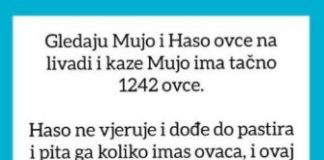VIC OD KOJEG ĆETE PLAKATI OD SMIJEHA: Gledaju Mujo i Haso ovce…