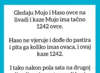 VIC OD KOJEG ĆETE PLAKATI OD SMIJEHA: Gledaju Mujo i Haso ovce…