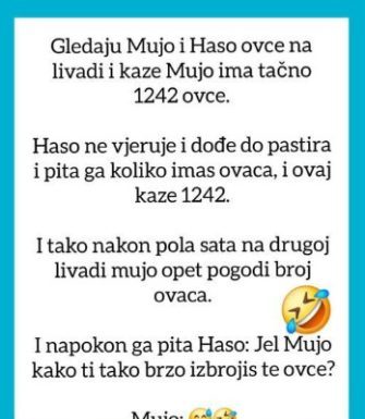 VIC OD KOJEG ĆETE PLAKATI OD SMIJEHA: Gledaju Mujo i Haso ovce…