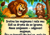 VIC: Majmun i lav