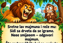 VIC: Majmun i lav