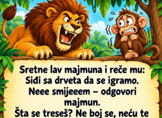 VIC: Majmun i lav