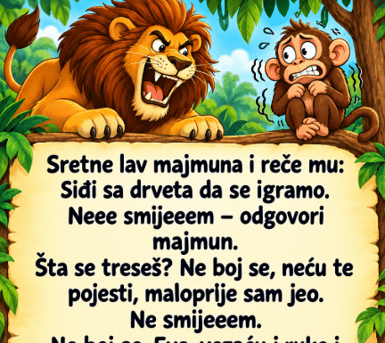VIC: Majmun i lav