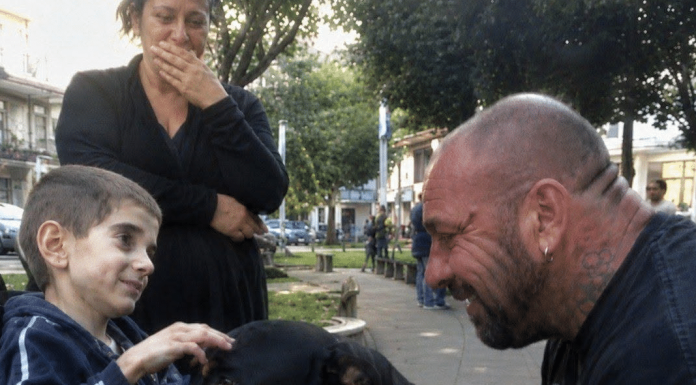 Dječak u invalidskim kolicima koji je zamolio za psa… i zauvijek promijenio dva slomljena života 😱💔
