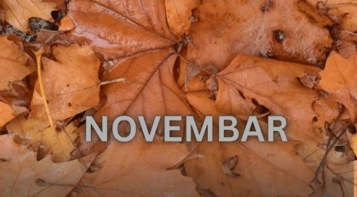 Od novembra kreće njihovo zlatno doba: 3 znaka ulaze u period kakav se čeka cijeli život